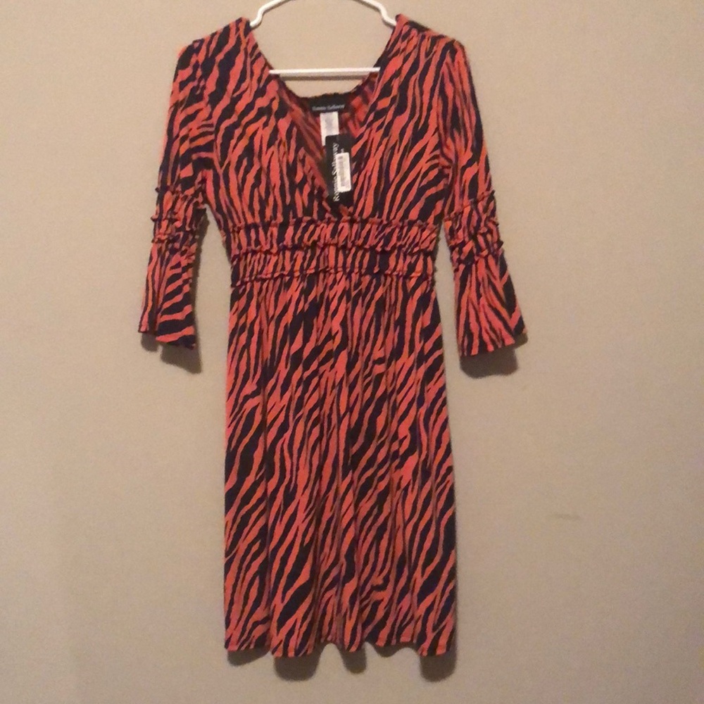 Orange and Blue Tiger Print Dress
